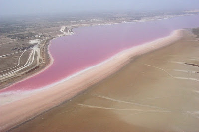 8 Danau Berwarna Pink