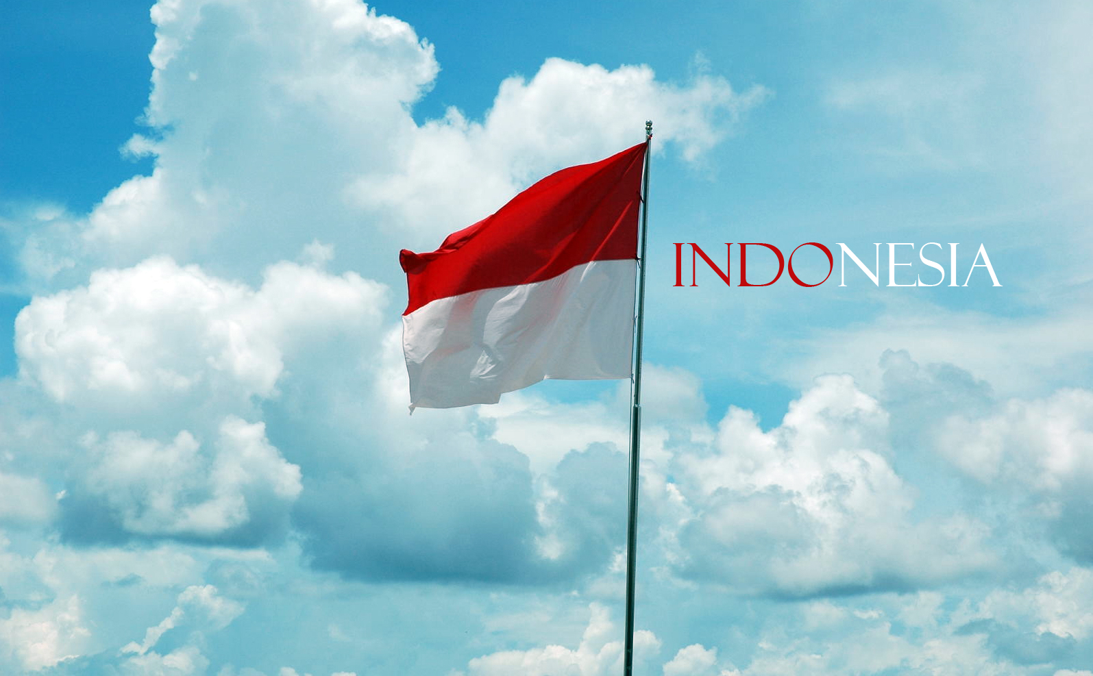Fungsi Bahasa Secara Umum & Peristiwa Penting Yang Berkaitan Dengan Bahasa Indonesia