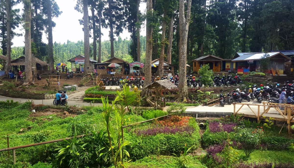 &#91;CoC Regional: Lokasi Wisata&#93; Asal-Usul dan Cerita Mistis Hutan Pinus Limpakuwus