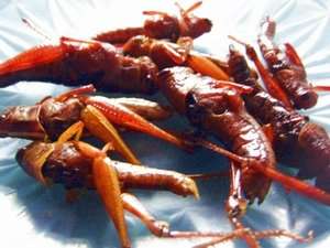 Berbagai makanan bergizi yang berasal dari Sawah