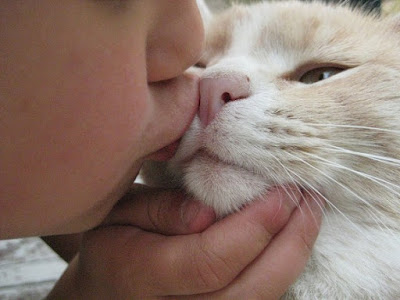 Punya hewan peliharaan anjing dan kucing? Hati-hati kena kanker perut gan!