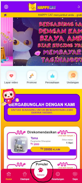 Aplikasi Uang Pelihara Kucing