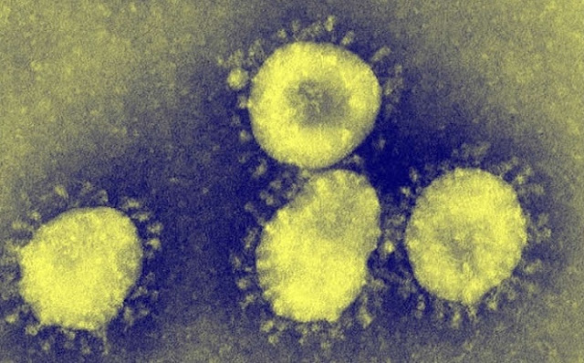 virus-corona--definisi-penyebaran-hingga-pencegahan