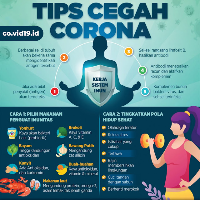 Tips Untuk Meningkatkan Sistem Imun Tubuh
