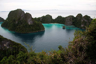 Pesona Raja Ampat bagi para diver