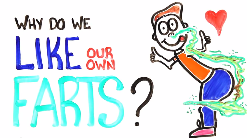 Mengapa Kita Menyukai Bau Kentut Kita Sendiri? *Explain with Animation*