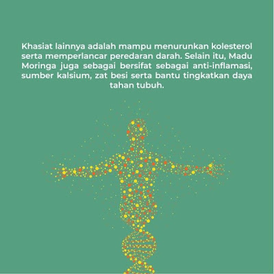 INI DIA Manfaat Daun Kelor Yang Efektif Tingkatkan Imunitas Tubuh Saat Pandemi Corona