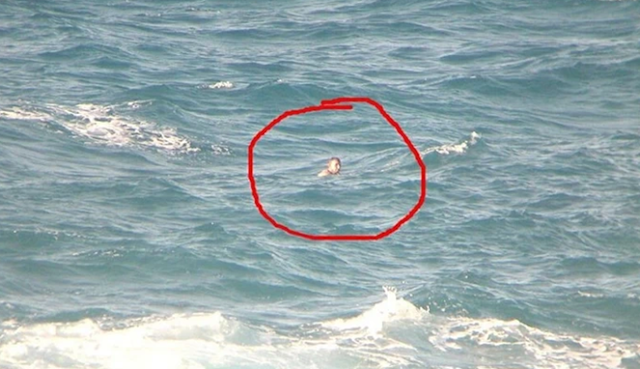 kisah-pria-aljazair-yang-berenang-menuju-australia-dan-terdampar-di-perairan-ntt