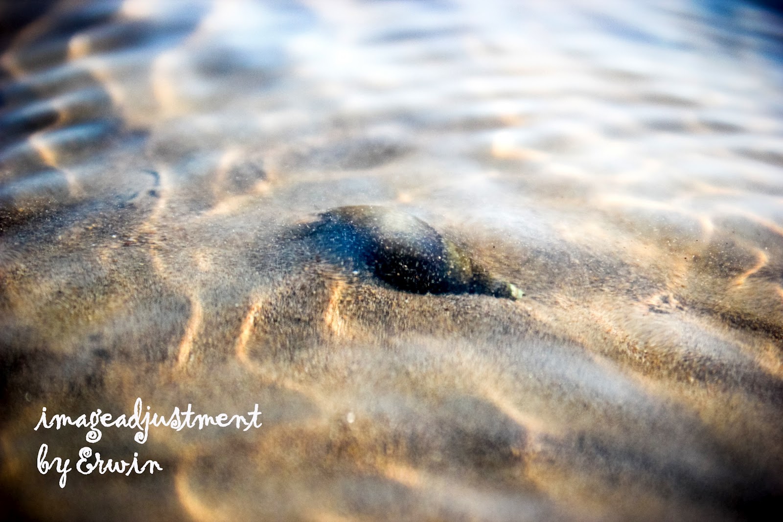 newbie minta komentarnya gan