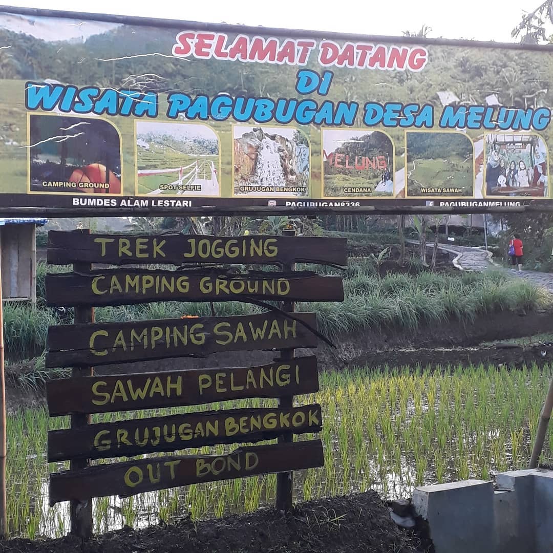 &#91;CoC Regional: Lokasi Wisata&#93; Wisata Pagubugan, Nyemplung di Tengah Sawah
