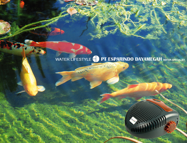 Nozzle Air Mancur, Pompa Celup, Dll Untuk Kolam Hias/Ikan Untuk Taman (Buatan Jerman)