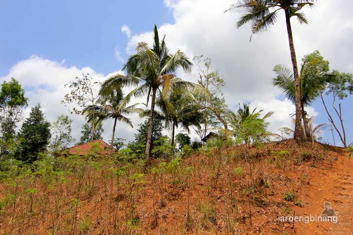 &#91;CoC Regional: Lokasi Wisata&#93; Makam Nyai Mranggi Binangun Banyumas