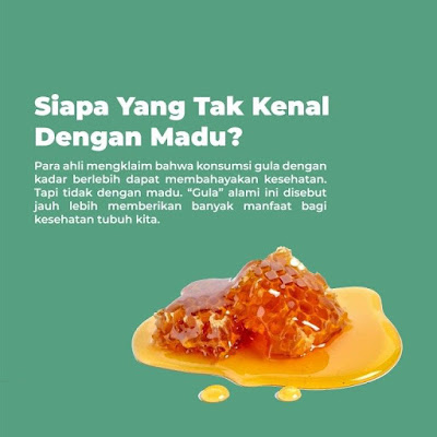 INI DIA Manfaat Daun Kelor Yang Efektif Tingkatkan Imunitas Tubuh Saat Pandemi Corona