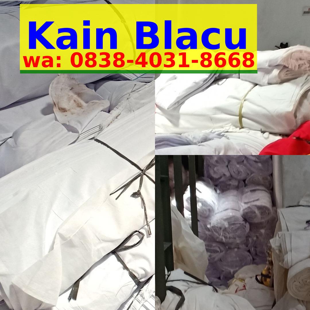 Blacu Eceran ౦838–4౦3I–8ϬϬ8{WA}