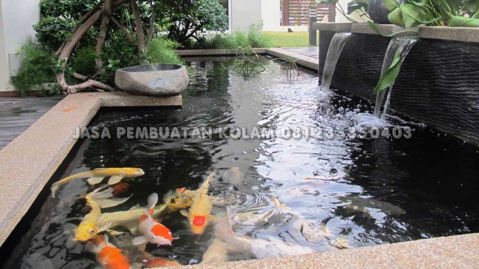 Jasa Pembuatan Kolam Ikan Koi Minimalis Tangerang KASKUS