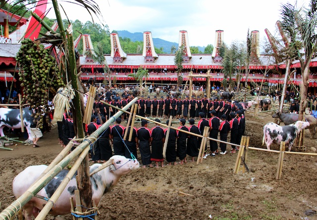 7 festival adat Indonesia yang terkenal hingga Mancanegara