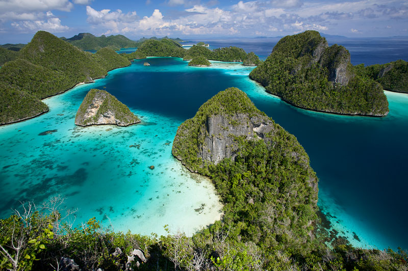 Pesona Raja Ampat bagi para diver