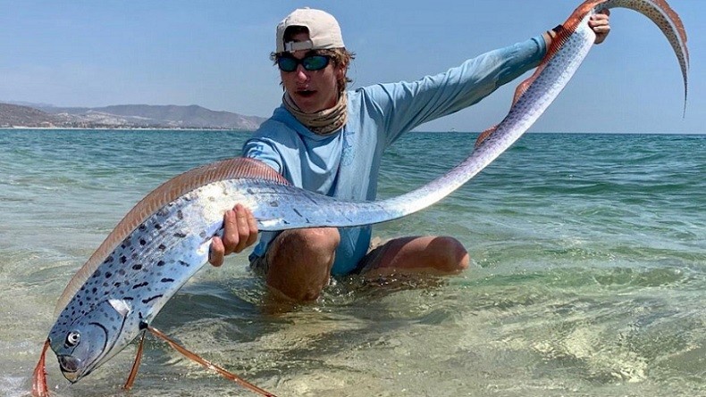 Disebut Ikan Pembawa Kabar Gempa, Ini 5 Fakta Tentang Oarfish