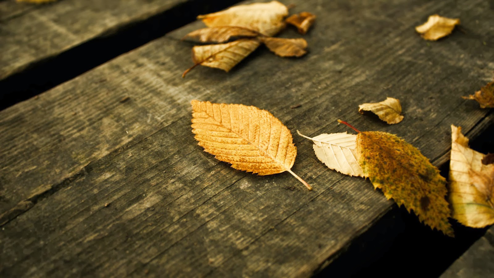 puisi cahaya bulan..oke bgt | KASKUS