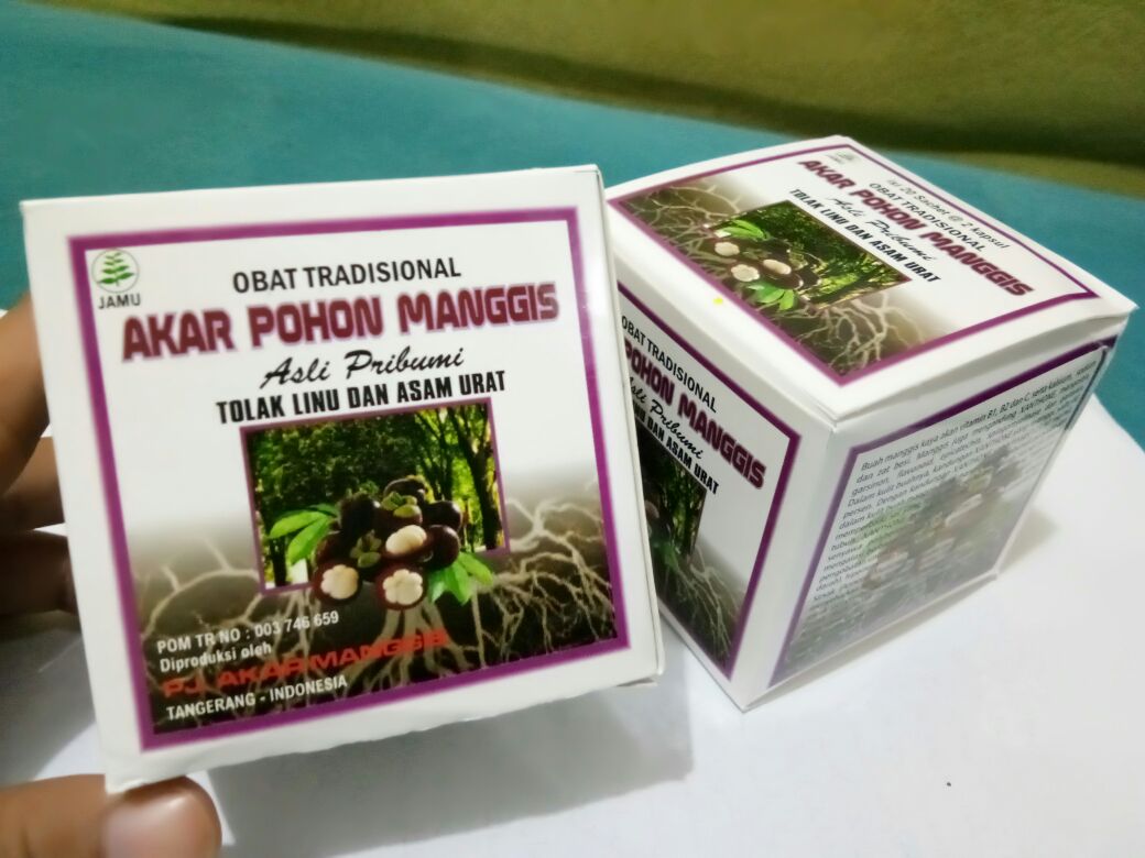 Manfaat Obat Akar Pohon Manggis Original || 082137002573