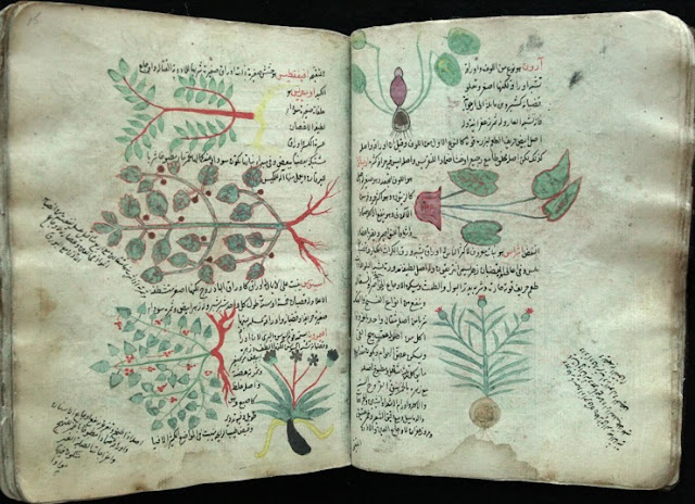 Pakar Ilmu Pertanian Muslim Terkenal di Andalusia Hingga ke Seluruh Eropa