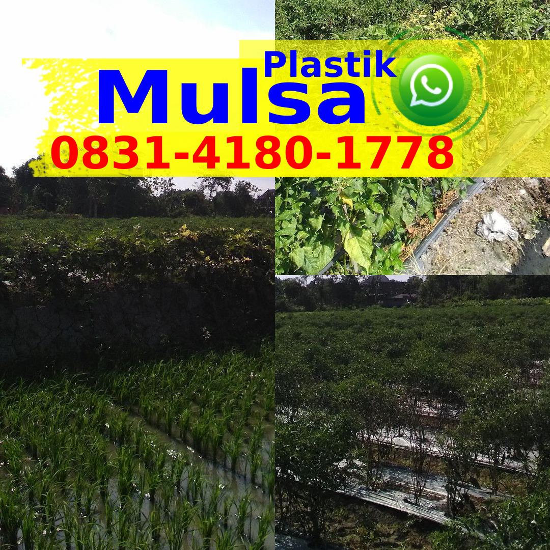 Harga Mulsa Per Rol Ô83l•ㄐl8Ô•l778{WhatsApp}