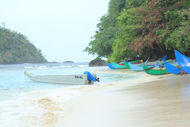 Wisata Bareng LumbaLumba di Teluk Kiluan KASKUS