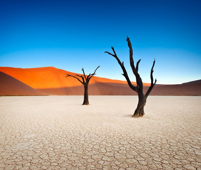 Lanskap Aneh Deadvlei Namibia