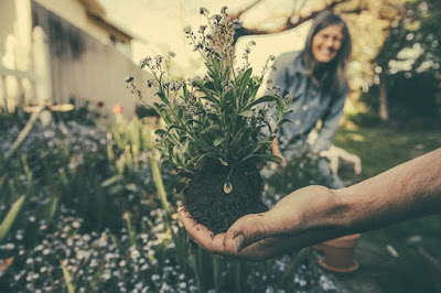 Berkebun Bisa Mengatasi Depresi Dan Rasa Cemas