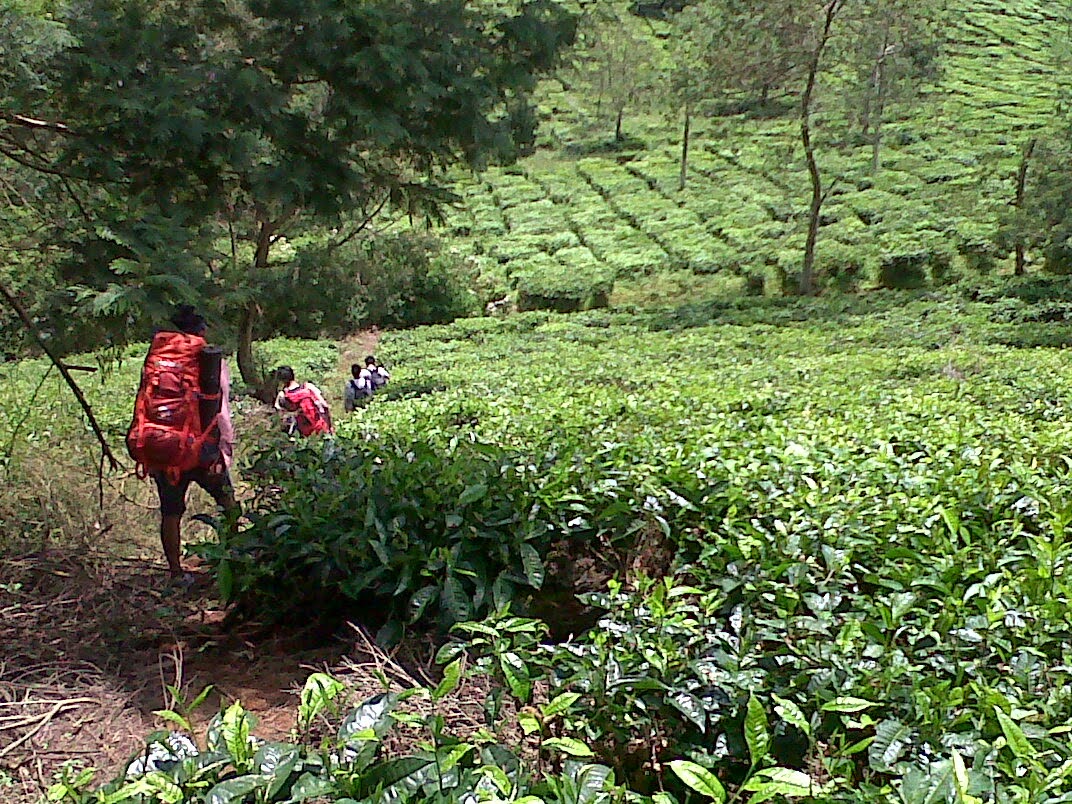 PAPANDAYAN VIA CISURUPAN - TURUN VIA CIBATARUA PANGALENGAN