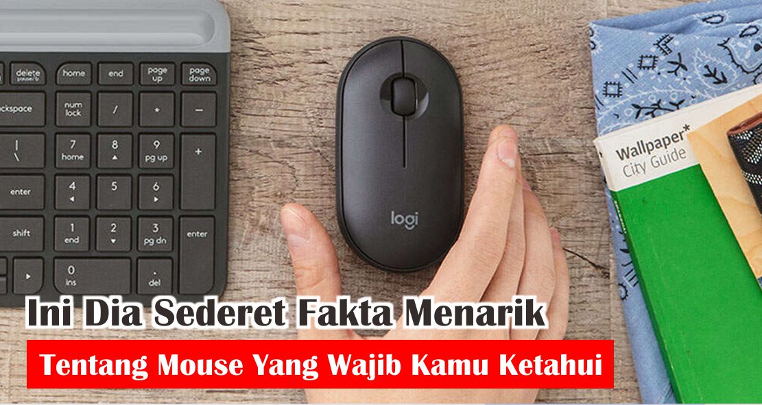  5 Fakta Unik Seputar Mouse Yang Perlu Kamu Ketahui !
