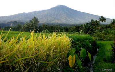 10 Gunung Tertinggi di Indonesia