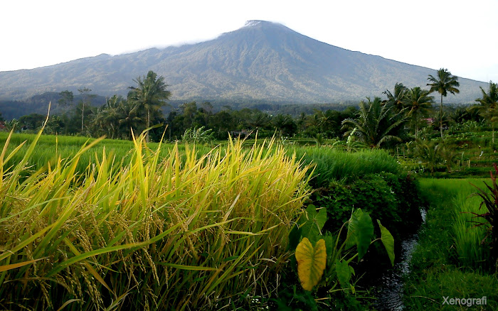 10 Gunung Tertinggi di Indonesia