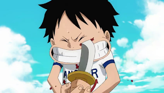 7 Fakta Luffy One Piece