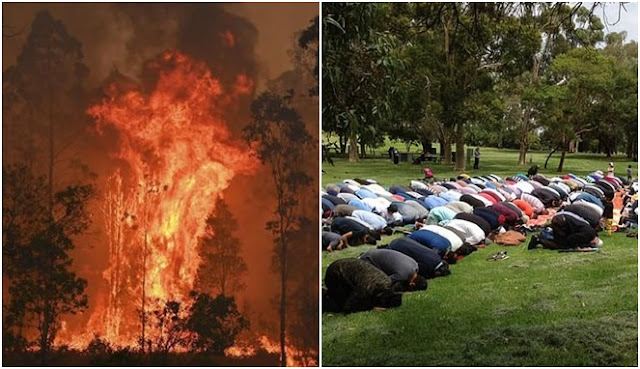 kisah-di-balik-turun-hujan-saat-kebakaran-hutan-australia-berkat-doa-muslim-setempat