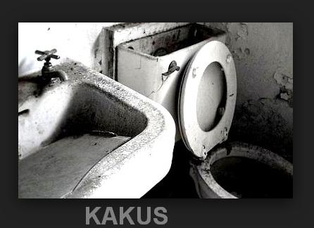 Inilah Fakta kenapa KASKUS bisa menjadi forum terbesar di Indonesia!