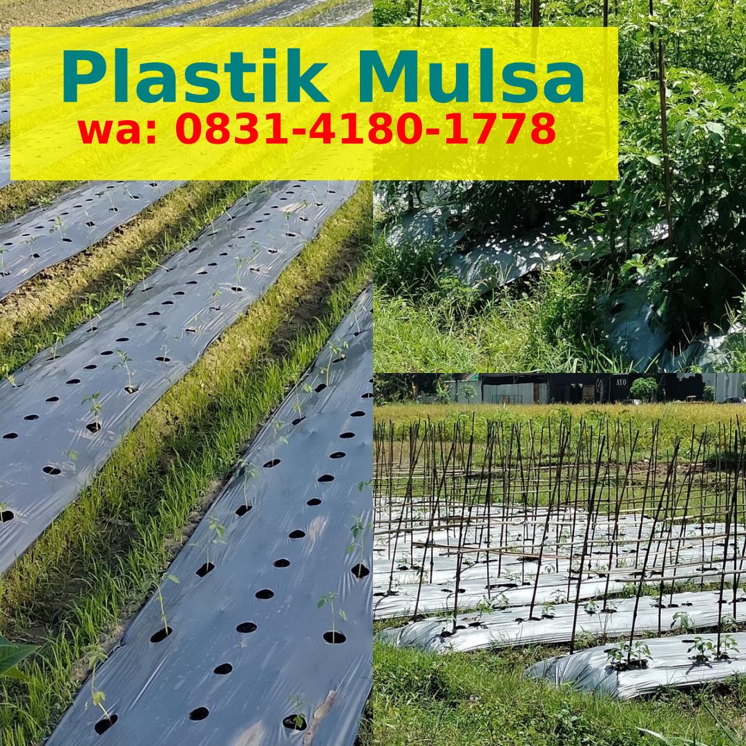 Produsen Mulsa Plastik Termurah 083I.ᏎI80.Iᜪᜪ8{WA}