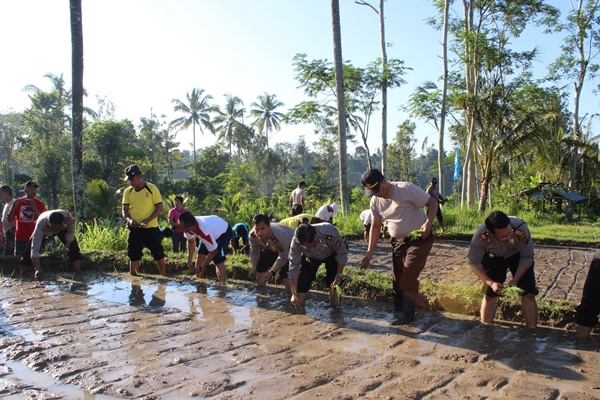 bantu-petani-polisi-tingkatkan-taraf-hidup-petani