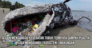 Selamatkan Bumi dengan Mengurangi Sampah Plastik