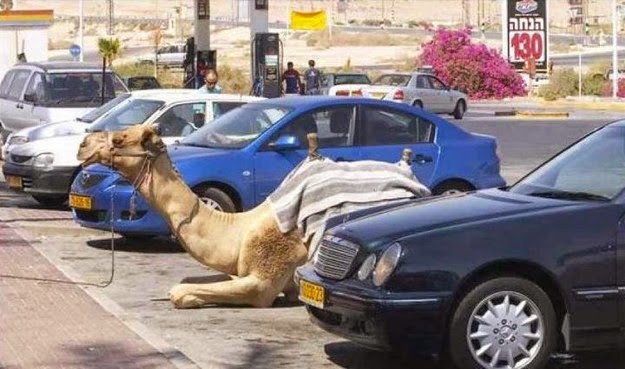 10 Hal-Hal Gila yang Hanya Terjadi di Dubai