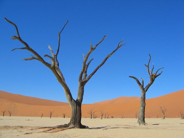 Lanskap Aneh Deadvlei Namibia