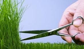 Mencukur Bulu Kemaluan,Pentingkah