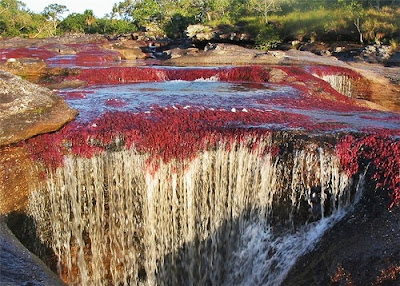 Sungai Paling Warna-Warni