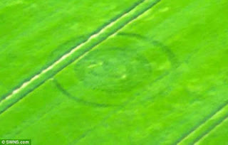 Apakah misteri crop circle sudah mulai terpecahkan?