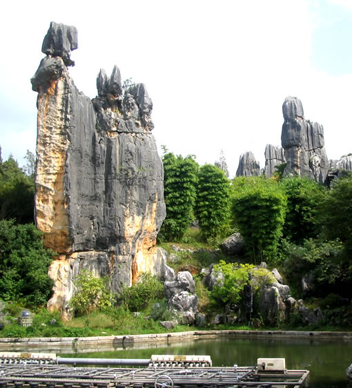 Menilik Kemegahan Hutan Batu di China