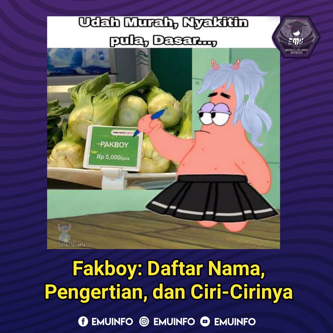 Ciri-ciri Cowok Fakboy