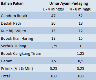 Pakan Ayam Pedaging Yang Sehat
