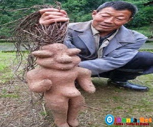 9 Tanaman Terunik dan Teraneh di Dunia
