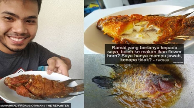 Penasaran Dengan Rasa Benjolan Kepala Ikan Lohan harga 7 Juta ? Orang Ini Berani Coba