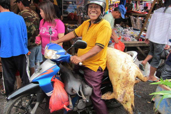 &#91;InfoGratis&#93; Ente Punya NYALI Buat Mencicipi MAKANAN EKSTRIM Ini Gan???